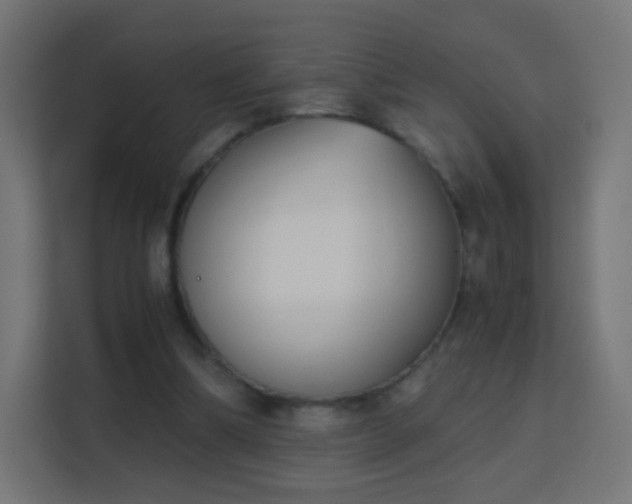 X0000113170298200909111040