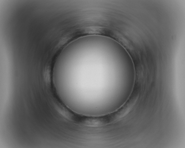 X0000113170299200909111040
