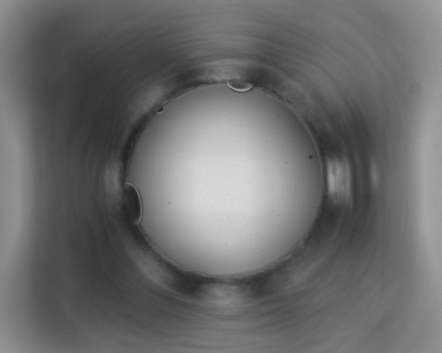 X0000113170300200909111040