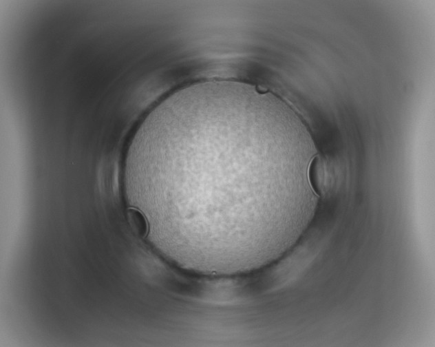 X0000113170301200909111040
