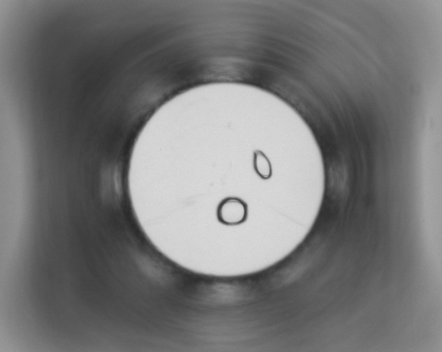 X0000113170302200909111040
