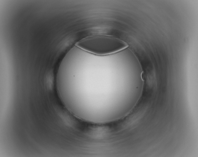 X0000113170304200909111040
