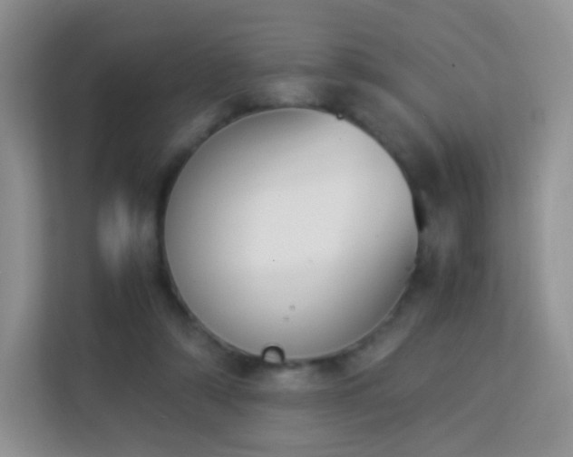 X0000113170306200909111040