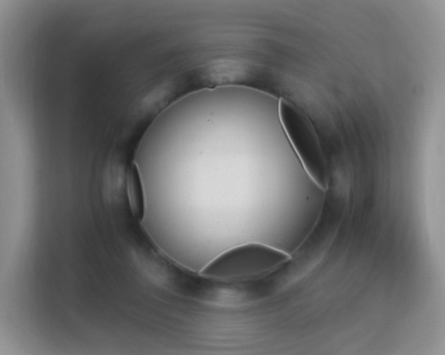X0000113170308200909111040