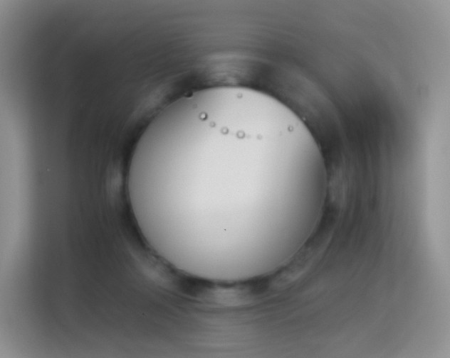 X0000113170314200909111040