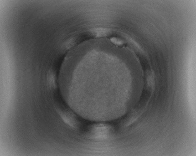 X0000113170316200909111040