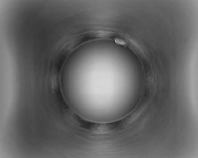 X0000113170325200909111039