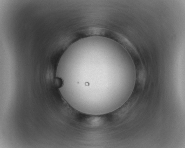 X0000113170326200909111039