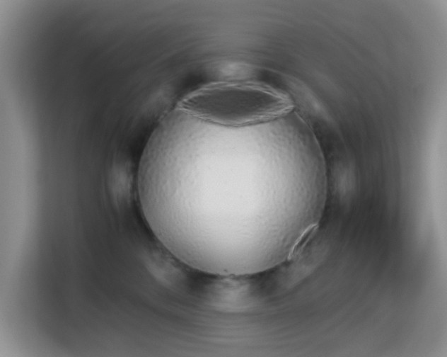 X0000113170328200909111039