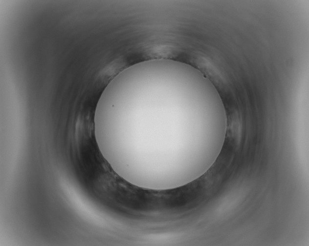 X0000113170334200909111039