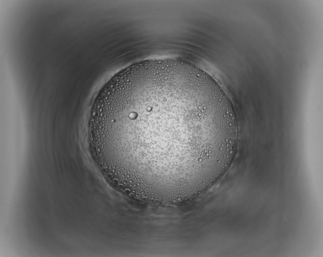 X0000113170337200909111039