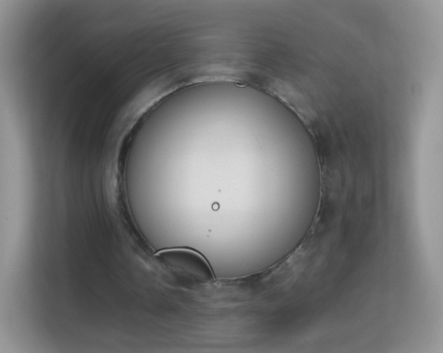 X0000113170338200909111039