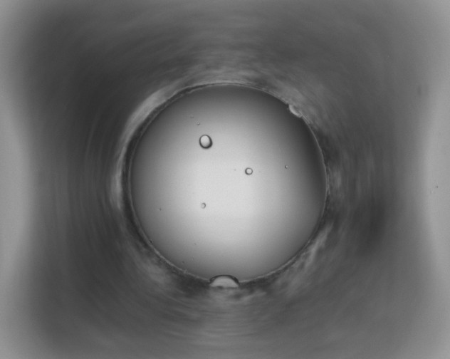 X0000113170340200909111039