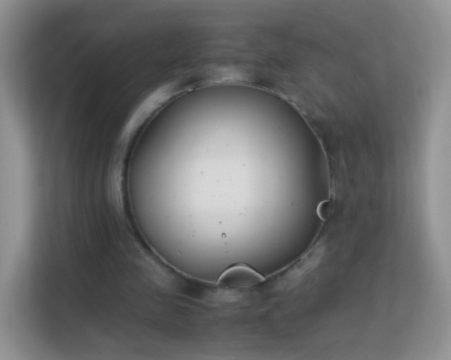 X0000113170341200909111039