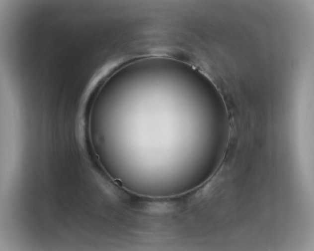 X0000113170342200909111039