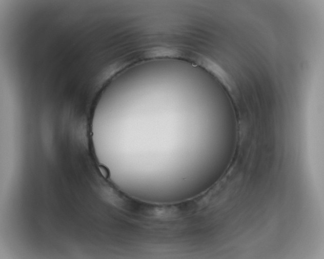 X0000113170345200909111039