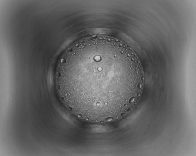 X0000113170347200909111039
