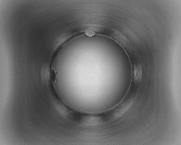 X0000113170348200909111039