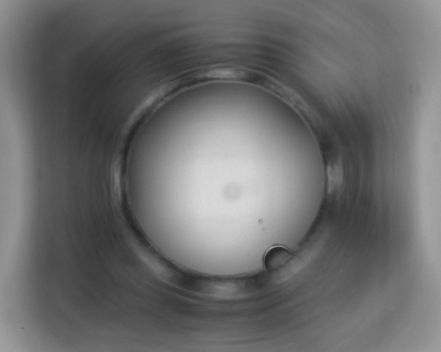 X0000113170349200909111039