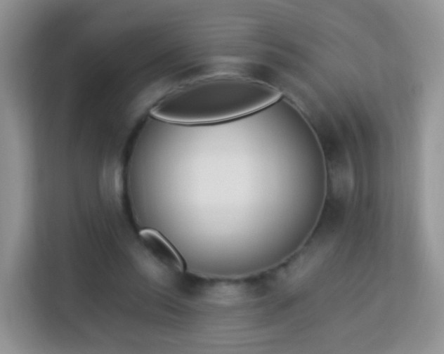 X0000113170350200909111039