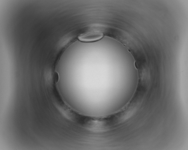 X0000113170352200909111039