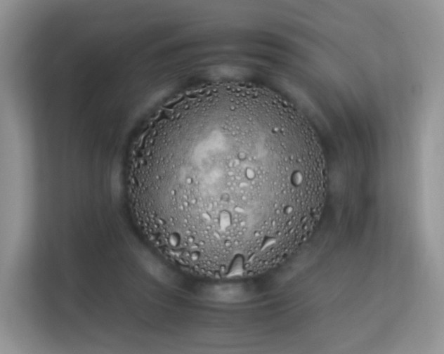 X0000113170353200909111039