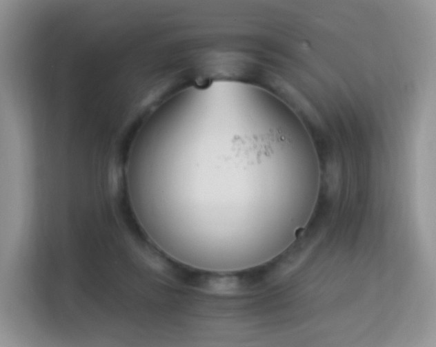 X0000113170355200909111039