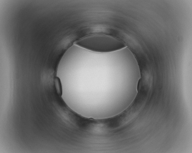 X0000113170356200909111039