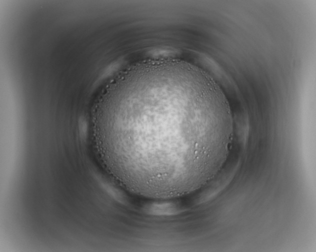 X0000113170357200909111039