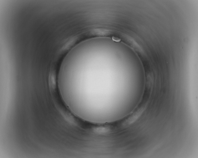 X0000113170358200909111039