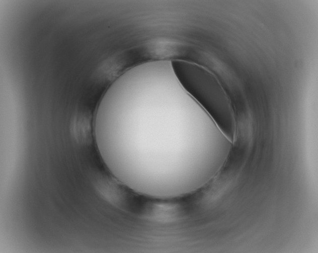 X0000113170360200909111039