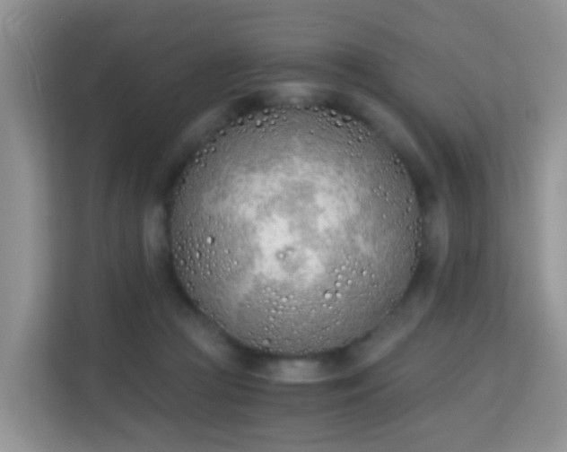 X0000113170361200909111039