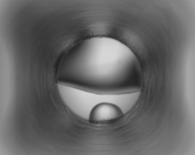 X0000113170362200909111039