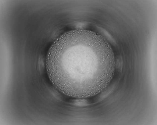 X0000113170363200909111039