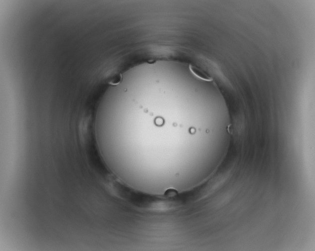 X0000113170364200909111039