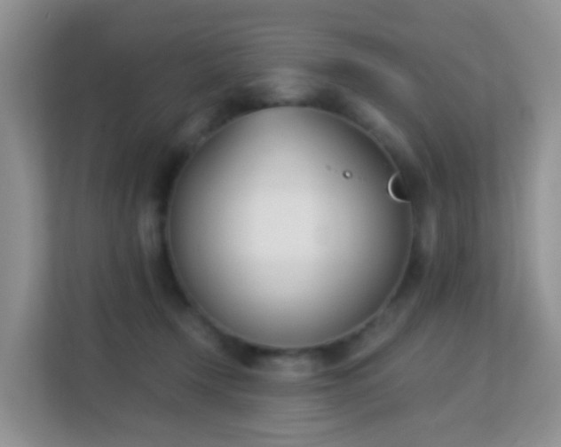 X0000113170366200909111039