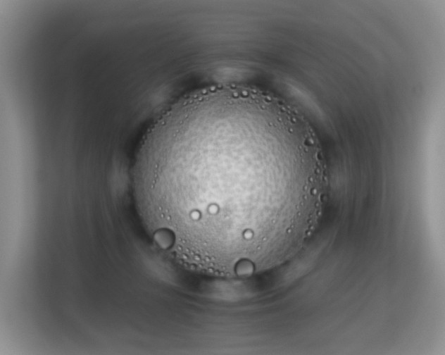 X0000113170367200909111039