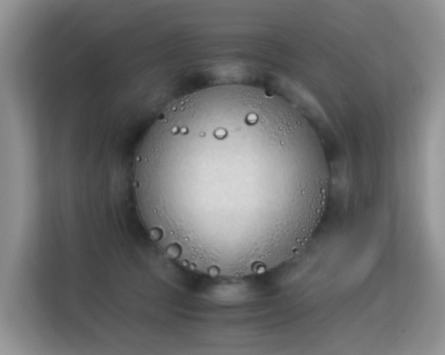 X0000113170369200909111039