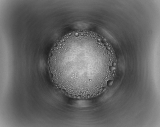 X0000113170371200909111039