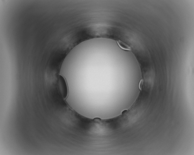 X0000113170372200909111039