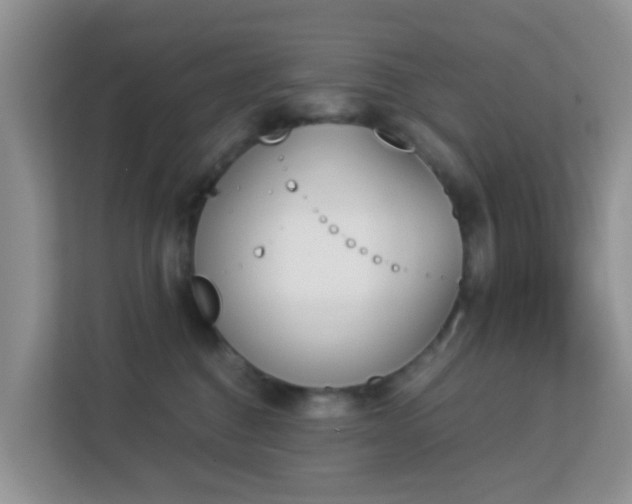 X0000113170376200909111039