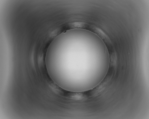 X0000113170377200909111039