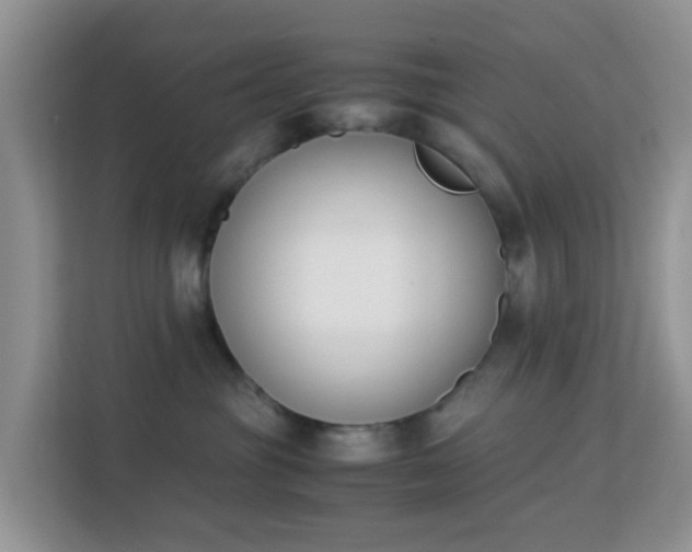 X0000113170381200909111039