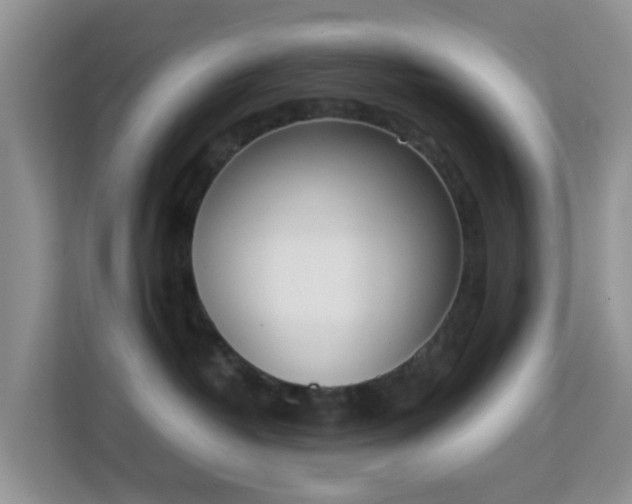 X0000113170382200909111039