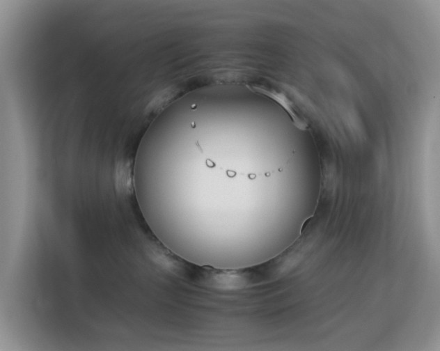 X0000113170383200909111039