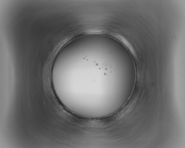 X0000113170385200909111039