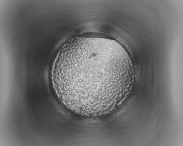 X0000113170386200909111039