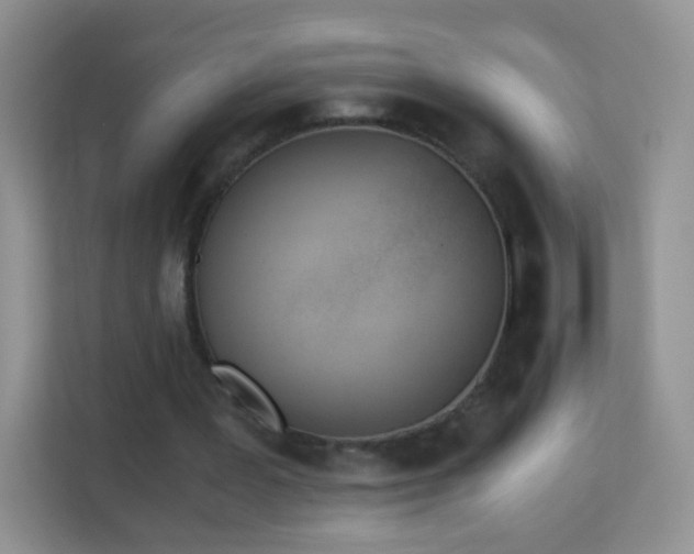 X0000113170387200909111039