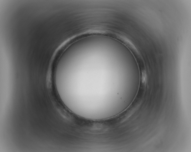 X0000113170388200909111039