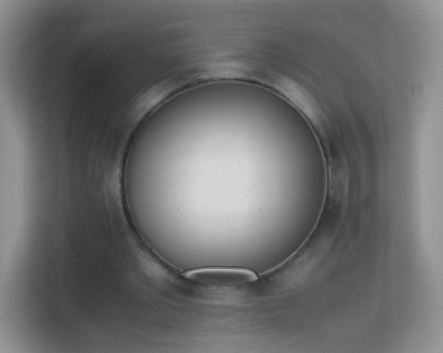 X0000113170389200909111039